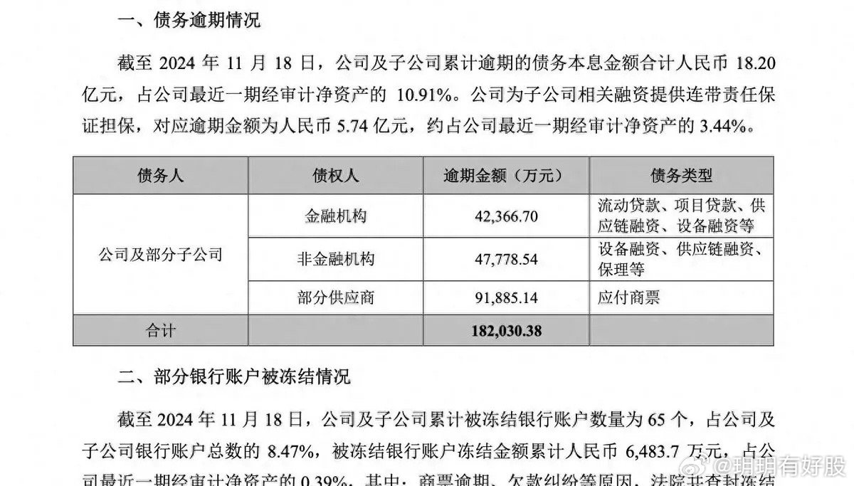 湛江晨鸣纸业蓬勃发展,纸业巨头的最新动态