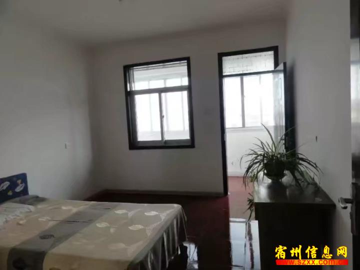 钱库套房出租最新消息更新,最新房源动态与租赁资讯速递