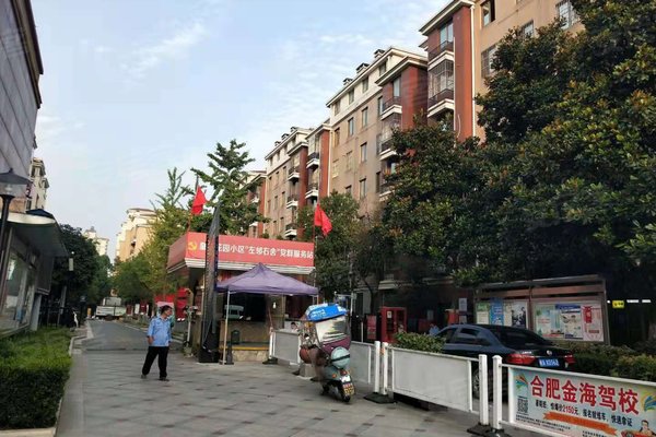 发展视角与未来展望