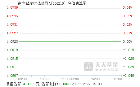今日377240基金净值探索，小巷宝藏与特色小店背后的秘密揭秘