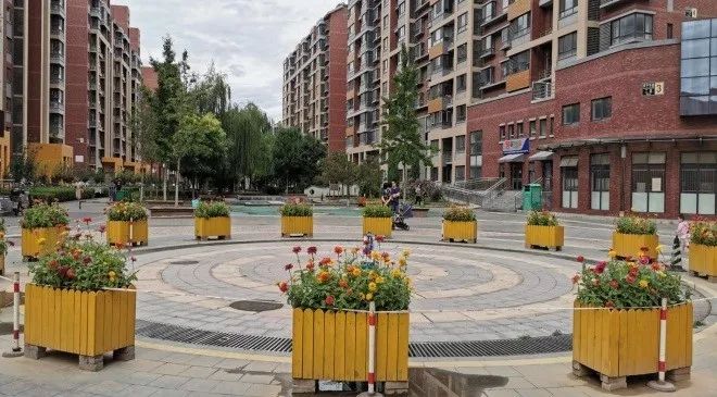 新蔡学府雅居，友情的温馨日常最新消息与故事