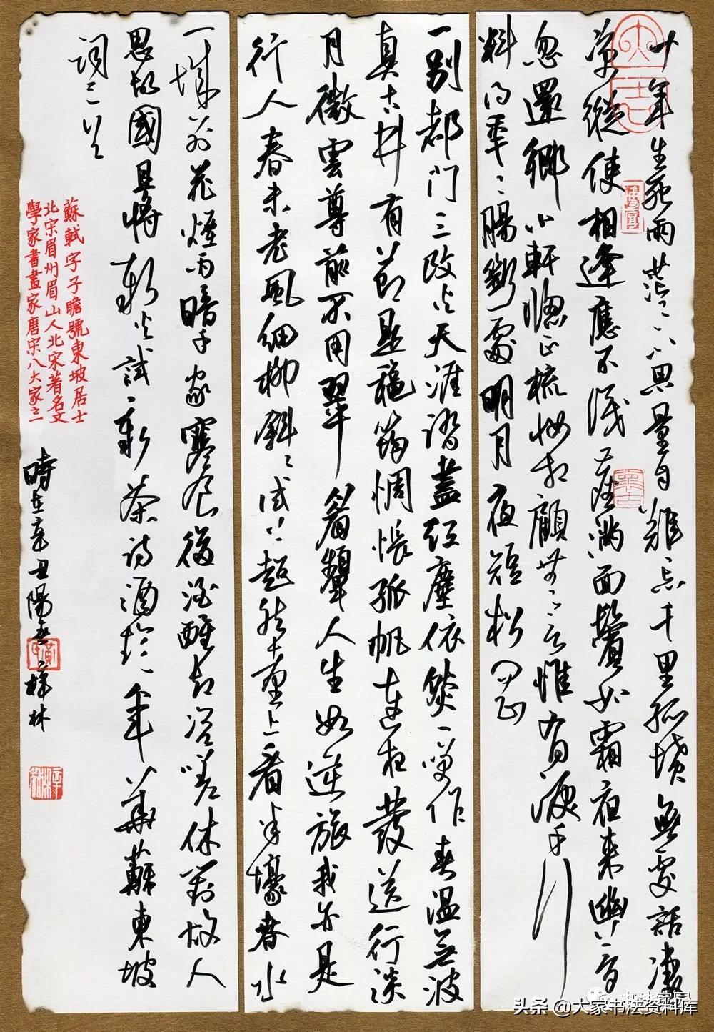 陆丰网科技新品引领未来生活新潮,最新消息新闻震撼登场