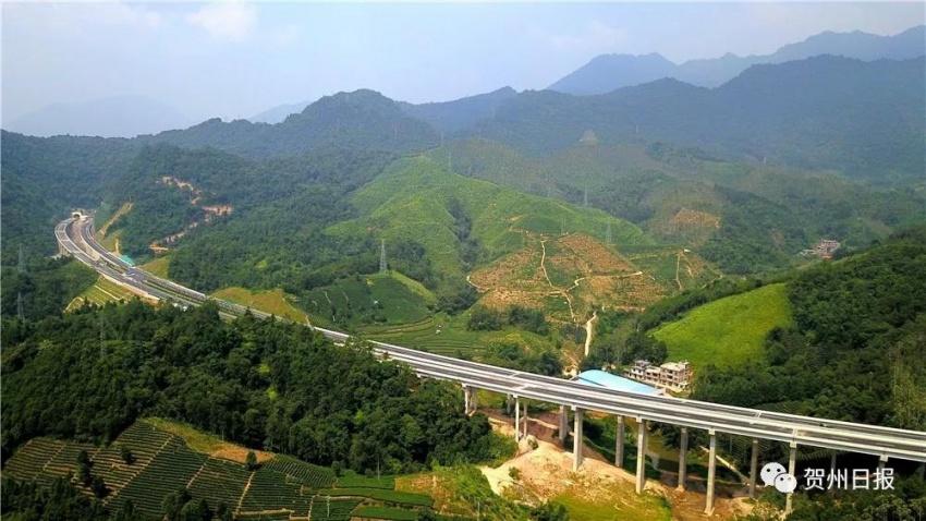 贺巴高速公路最新动态更新，最新消息汇总