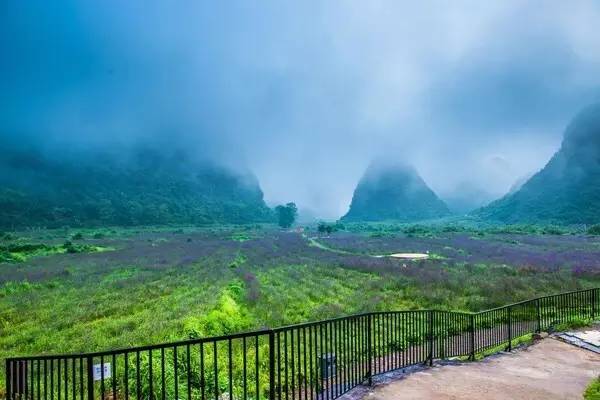 贵州百灵股票最新动态,自然美景探索之旅的心灵远离尘嚣之旅