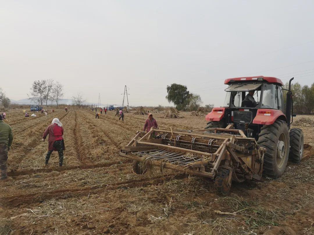 瓦房店三台乡最新发展动态深度分析与观点影响综述
