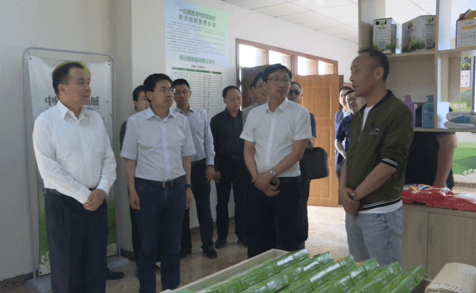 嘉陵区世阳镇最新消息全解析,获取指南与动态更新