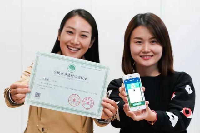 全民赢三张下载最新版本的深度解析与体验分享