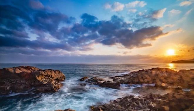 油价最新动态，小巷深处的油香秘境探索