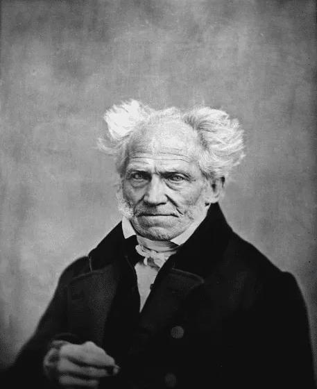 论最新观点,深度阐述与探讨