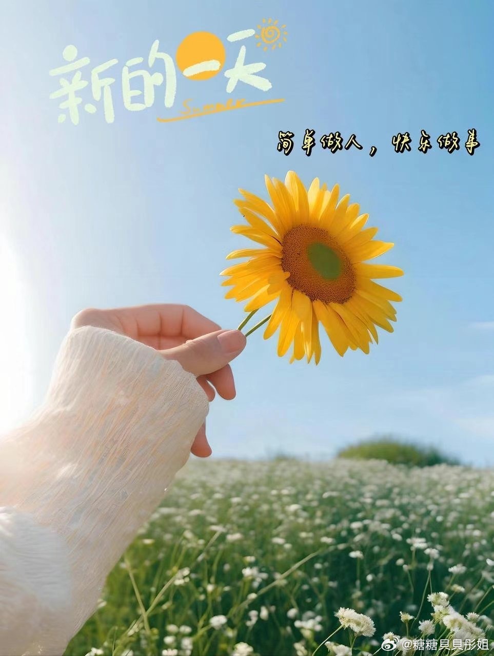 最新一天阳光灿烂的标题,阳光正好,今日全新启航