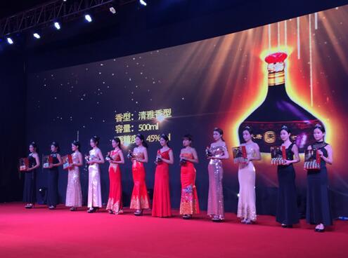 未来城市面貌揭秘,最新城可持续发展蓝图展望