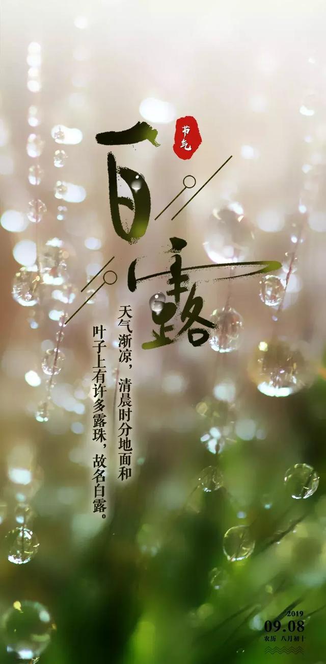 最新阳光日,一天的希望和温暖