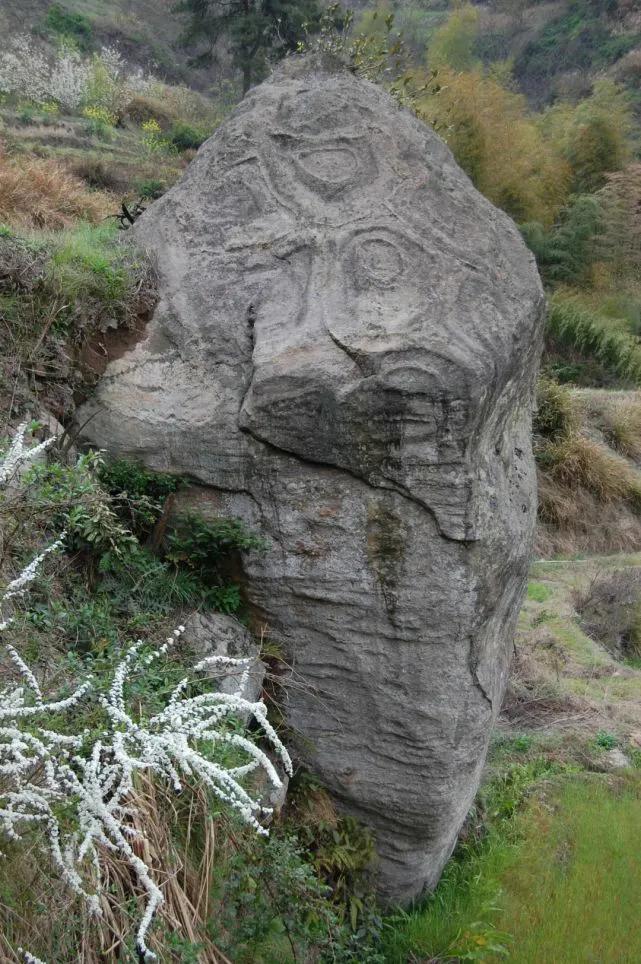 最新符号,意义、影响及观点探讨