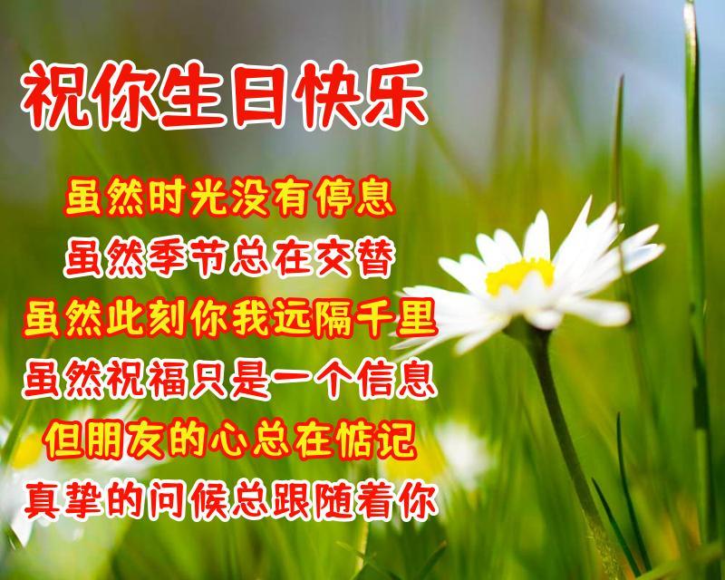温馨日常欢乐时光