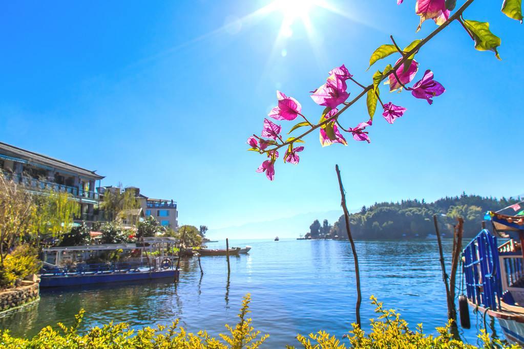 最新通道,最新通道,踏上自然美景的探索之旅,寻找内心的平和之地