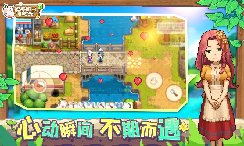 最新版游戏与日常趣事,温馨时光一览