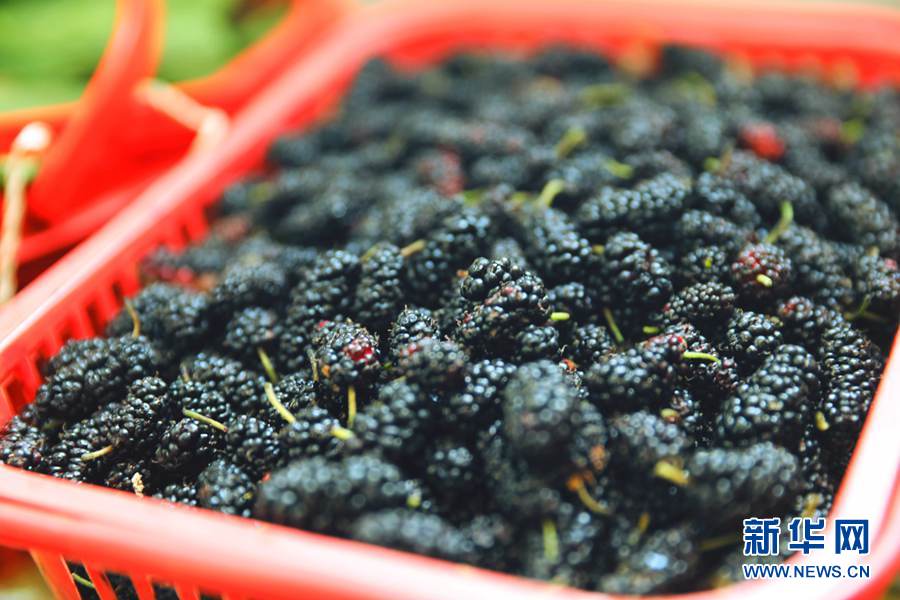 探索最新鲜事物的魅力,新奇世界的探索之旅