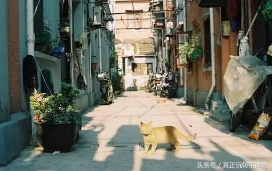 上海禾辉信息 第446页