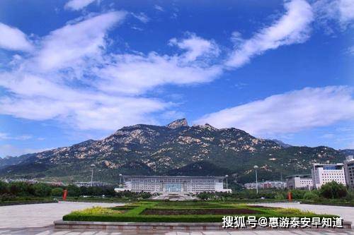 泰安最新动态，城市温情与友情的温馨小插曲