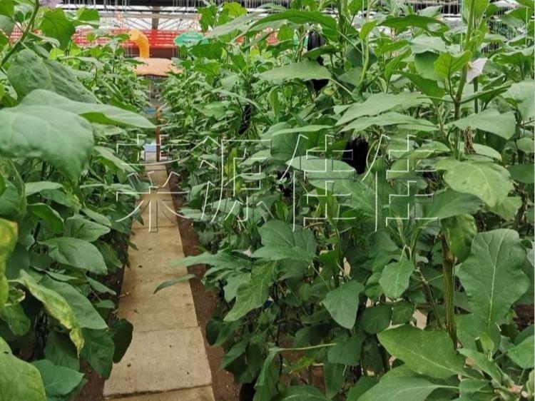 江苏自然美景探索之旅，追寻内心的宁静