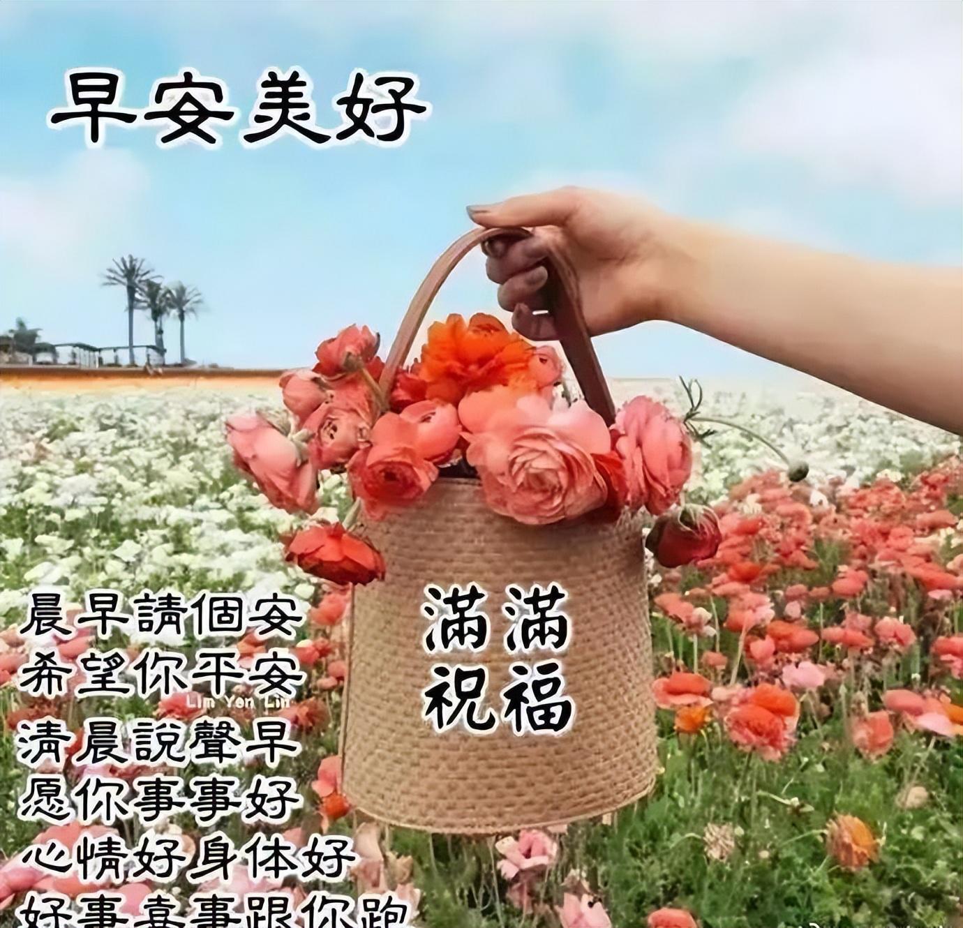 广告视频