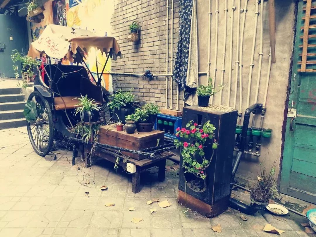 房东最新揭秘,小巷深处的独特风情小店探索