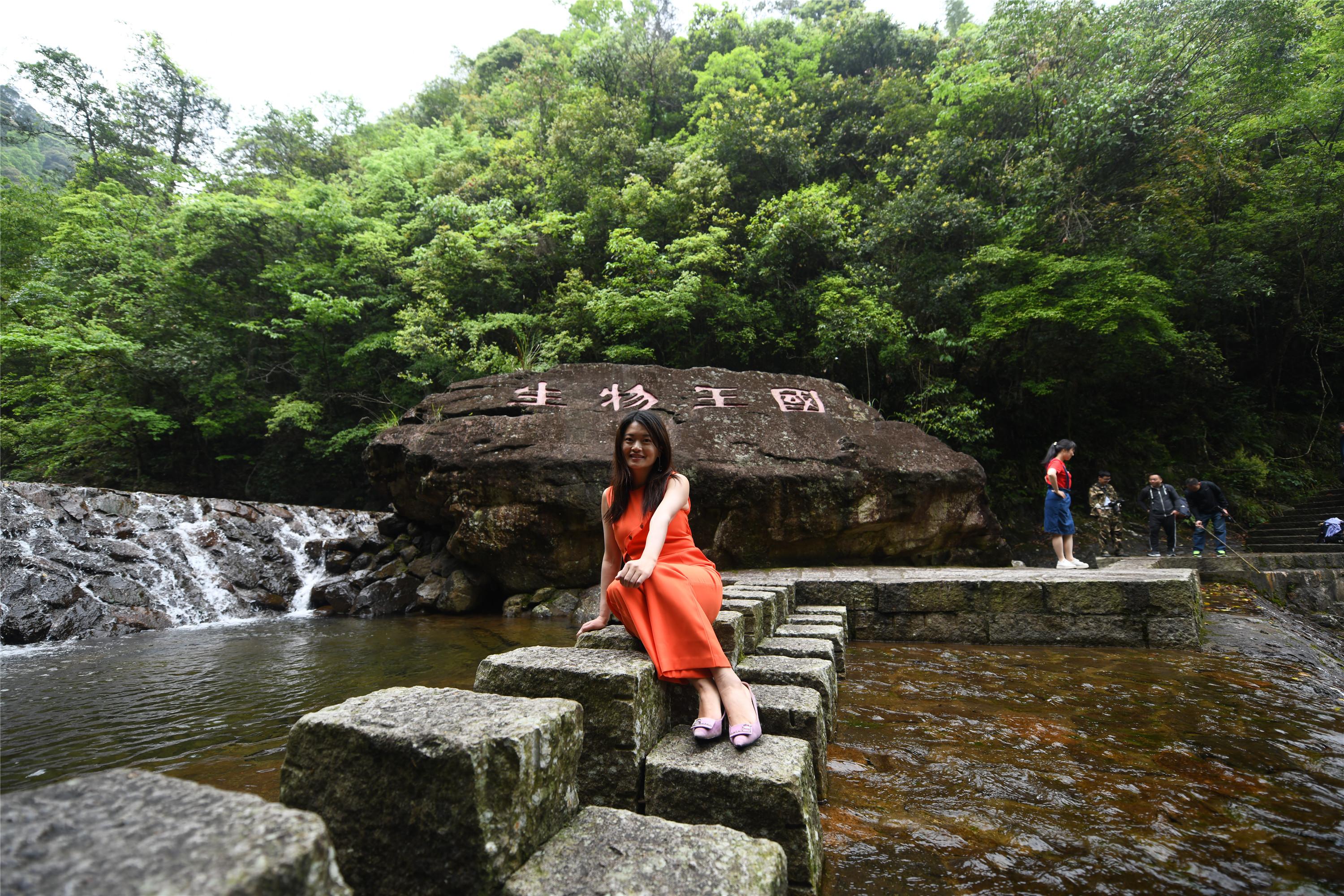 最新热播电视剧排行榜，自然美景的治愈之旅探索季