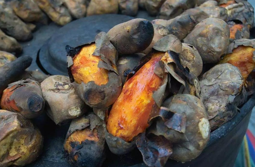 PPT最新更新,小巷深处的独特风味——美食探索之旅