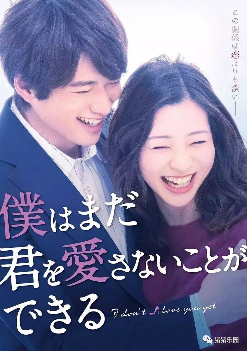 日剧最新,温馨日常与友情的纽带