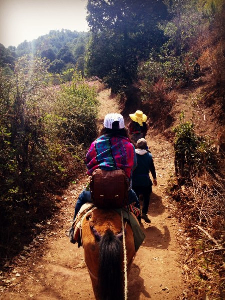 湖南疫情下的自然探索之旅，寻求内心的宁静与平和