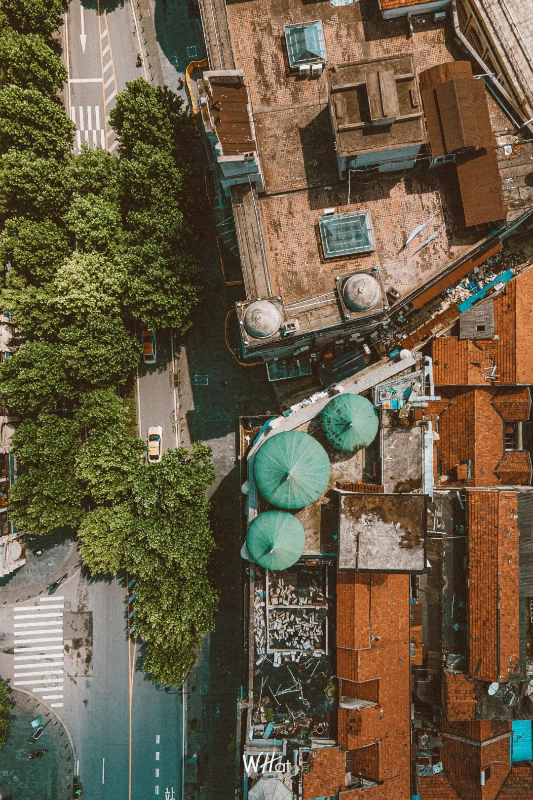 迷你世界最新版,小巷神秘乐园探索之旅