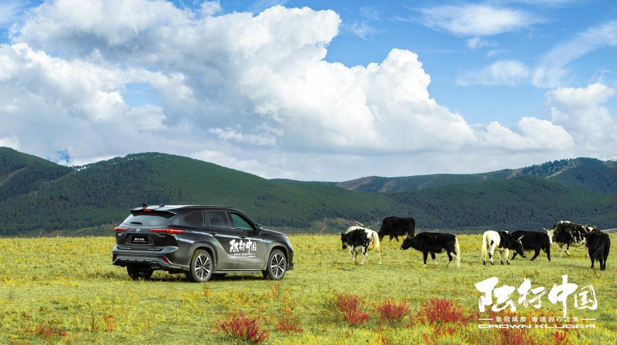 最新飞机探索自然美景的梦幻之旅