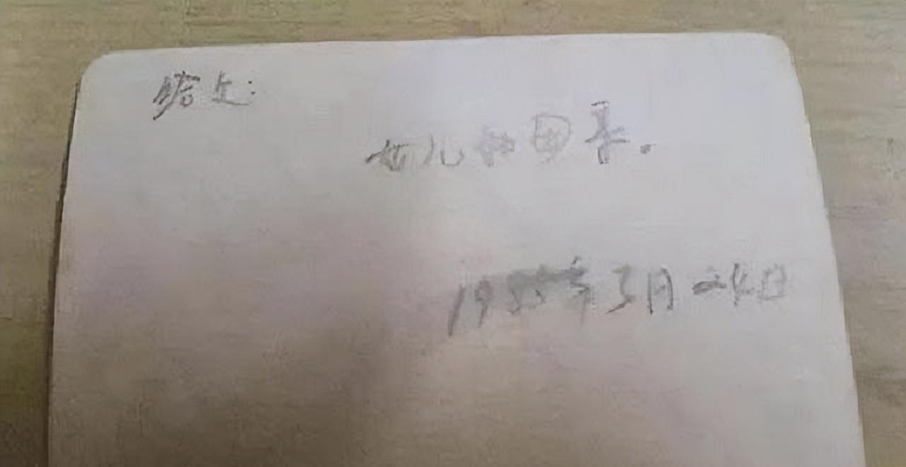 最新视频软件,爱的纽带与温馨的日常体验