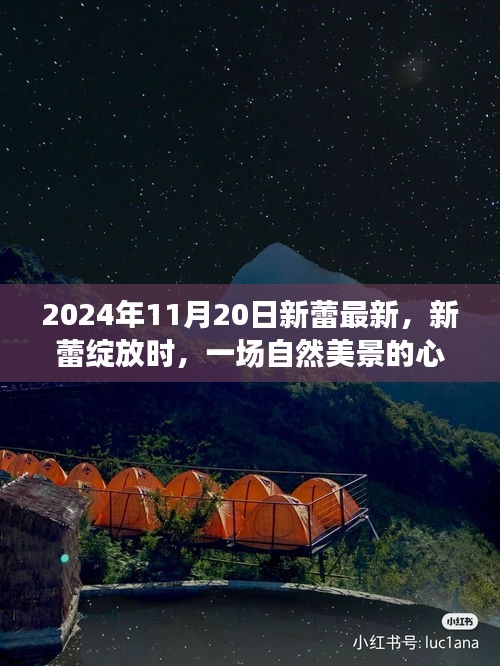 启程心灵与自然的美妙遨游之旅！