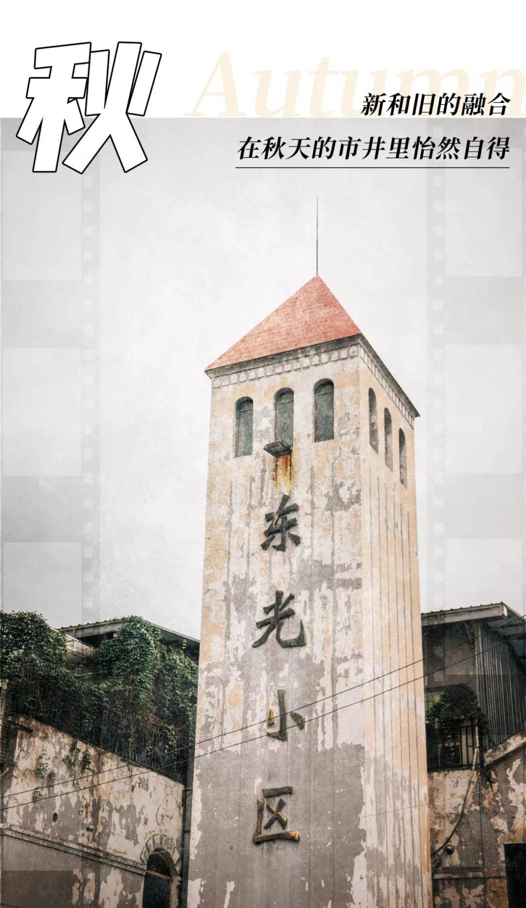 台湾巷弄中的秘密宝藏,一家隐藏在小巷中的特色小店的新鲜资讯