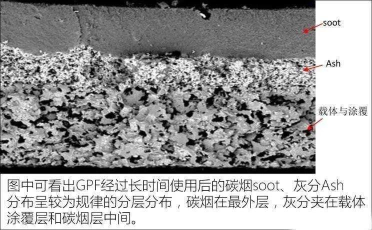 探索氧气世界的最新奥秘，氧的最新动态揭秘🔍