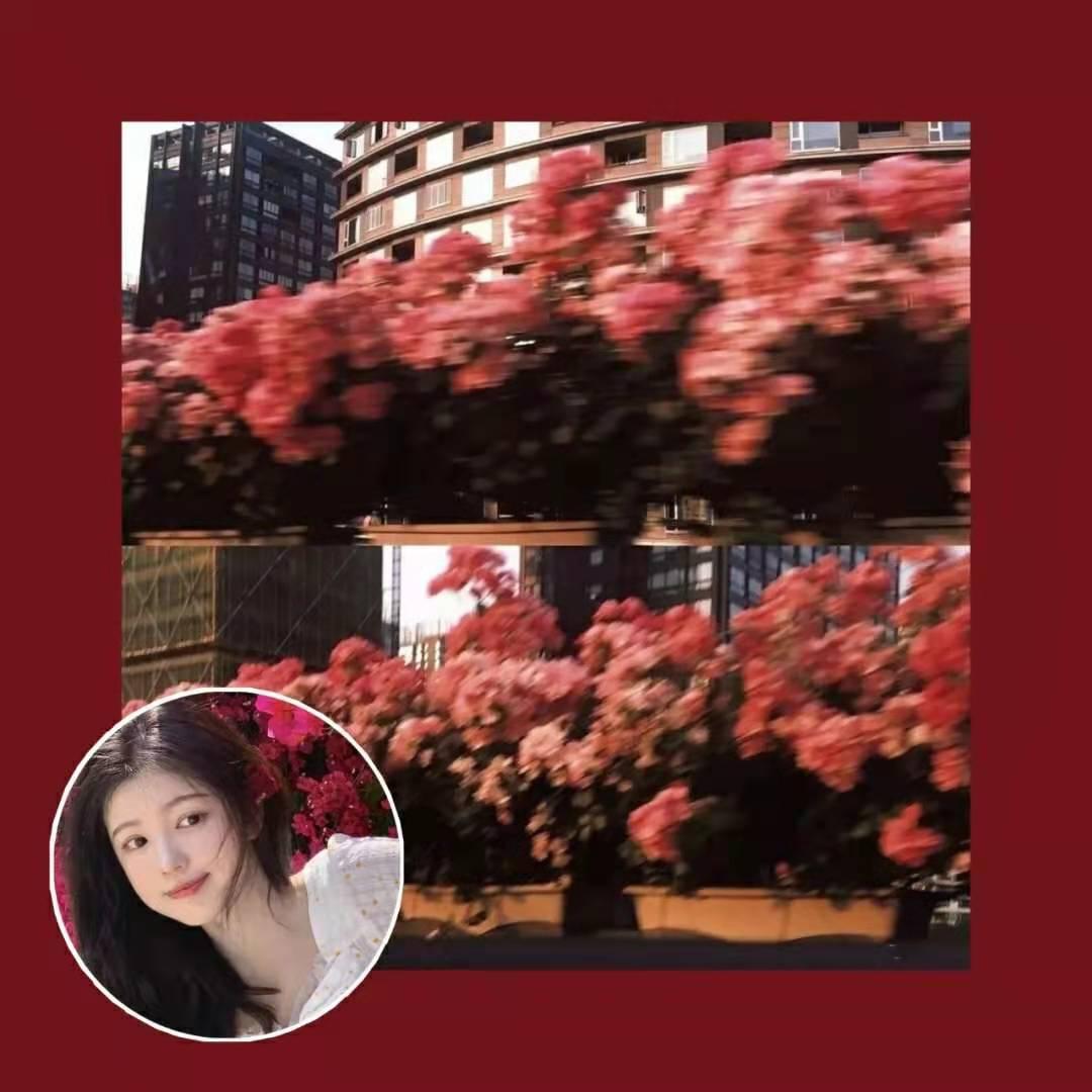 YY最新动态,背景、重要事件与地位的深度解读