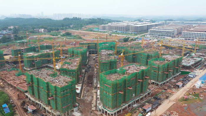 遂宁最新资讯更新,最新动态与消息汇总