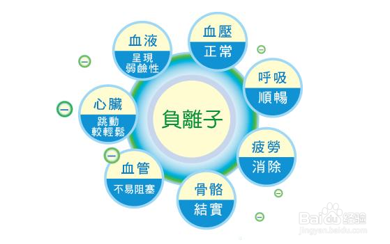 可持续未来