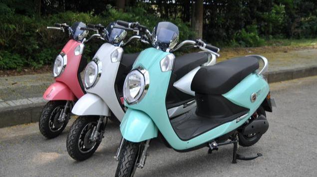 最新油价动态揭秘,油价图片一网打尽,动态一目了然!