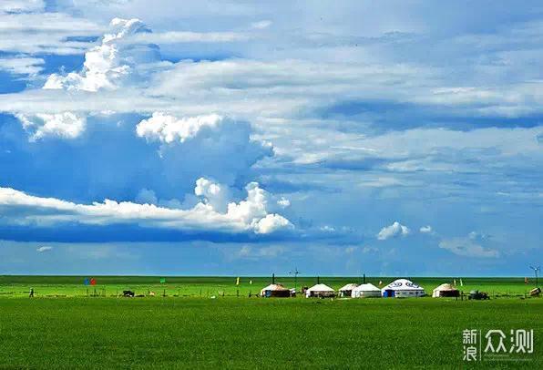 最新牛羊价格揭秘，草原之旅的心灵之旅