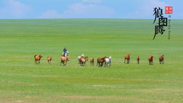 最新牛羊价格揭秘,草原之旅的心灵之旅