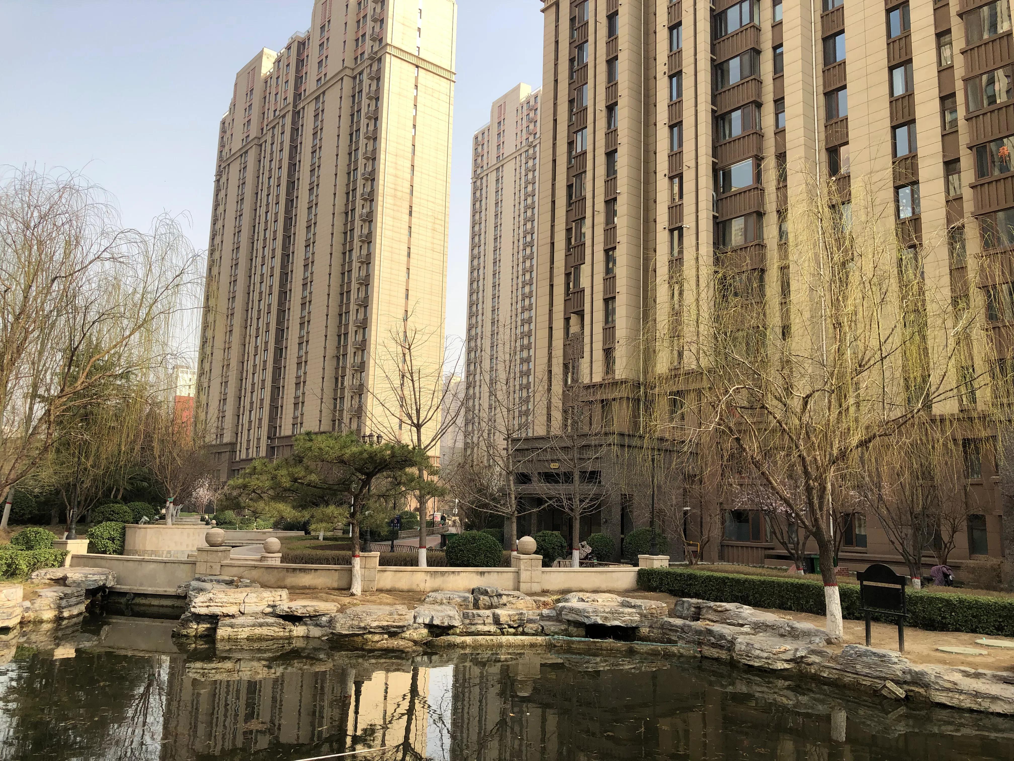 🌟保定市最新动态更新🌟