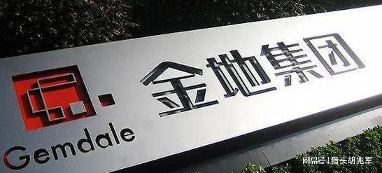 金地最新动态，引领未来发展与变革