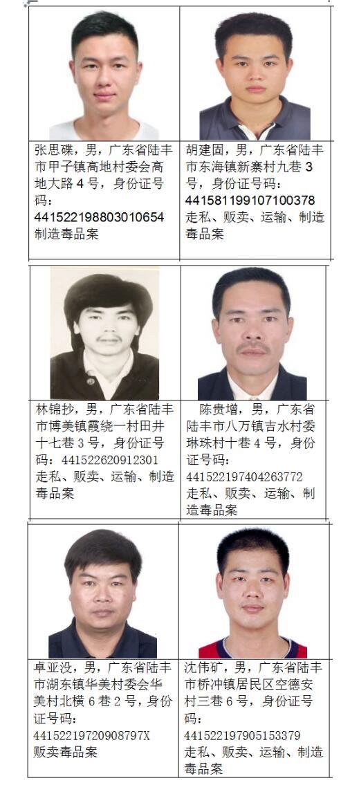 最新通缉犯名单，警钟长鸣，正义行动不停歇