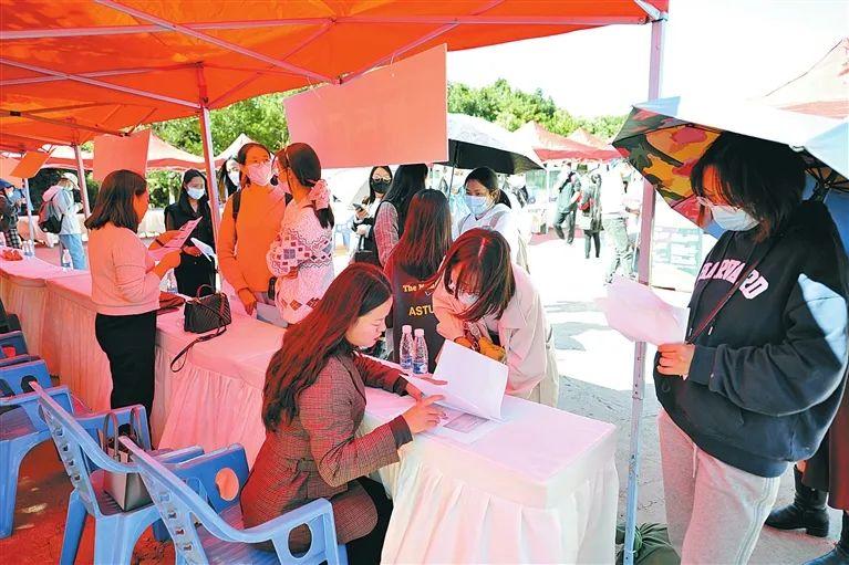 昆明最新招聘信息详解,多维度视角下的深度解析