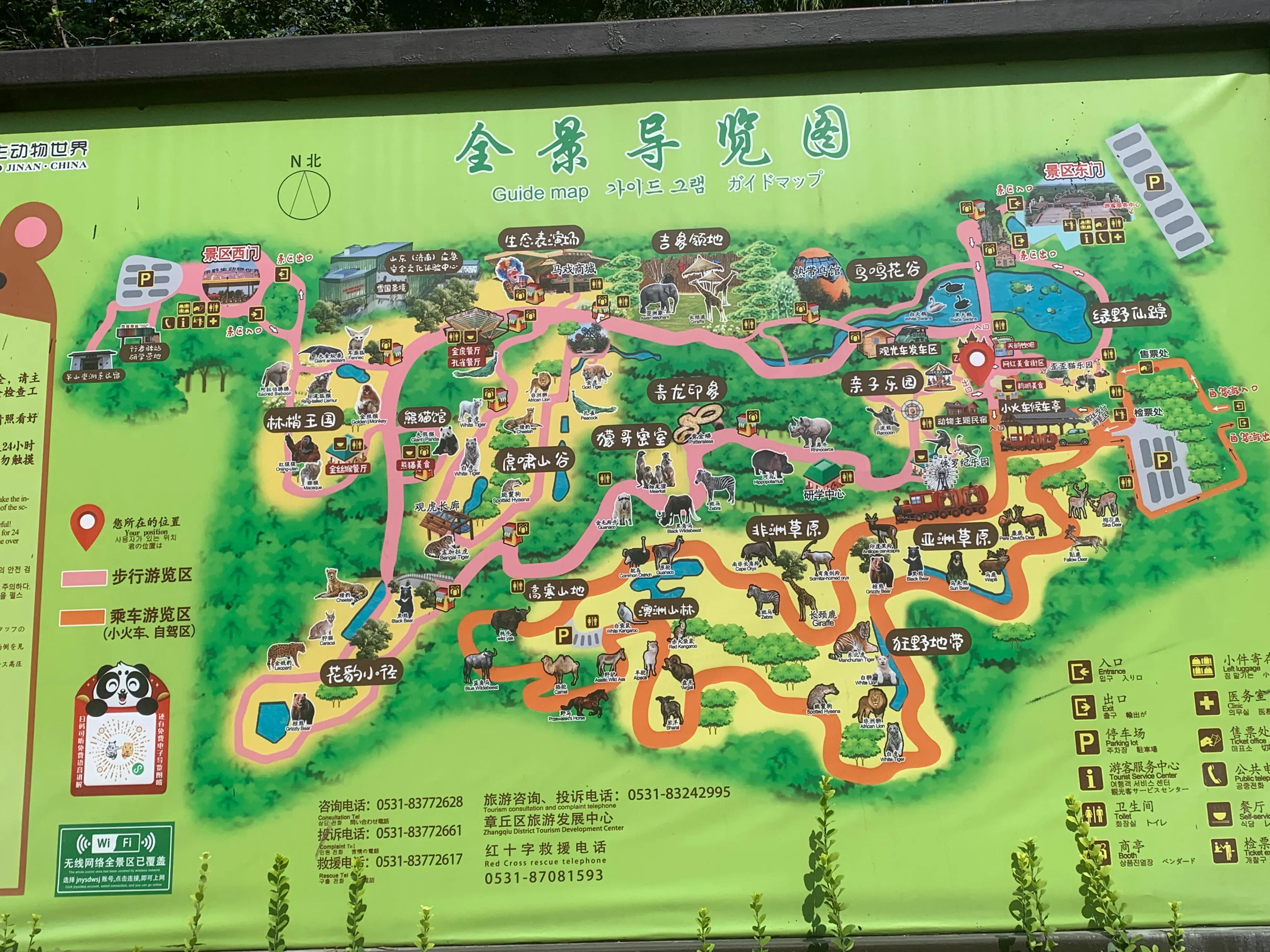 济南地图最新多维度视角下的深度论述