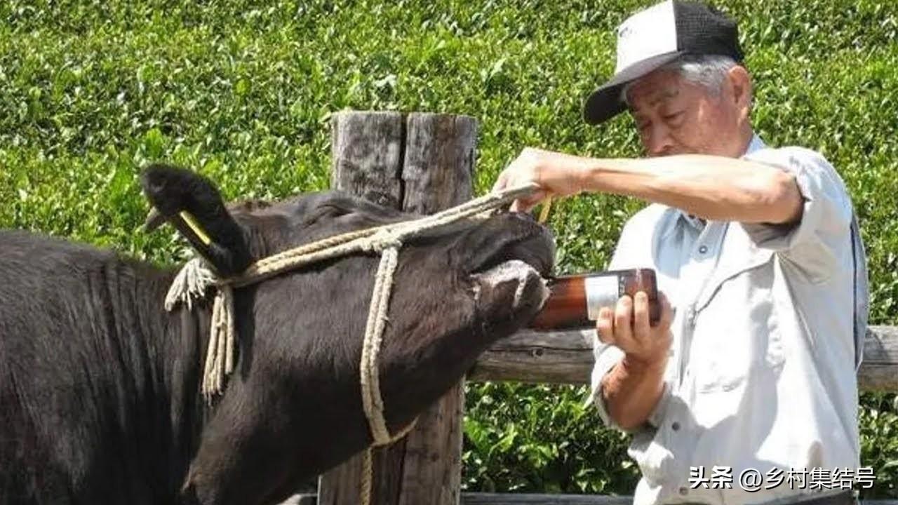 时代背景下的独特魅力探索,最新作文精选