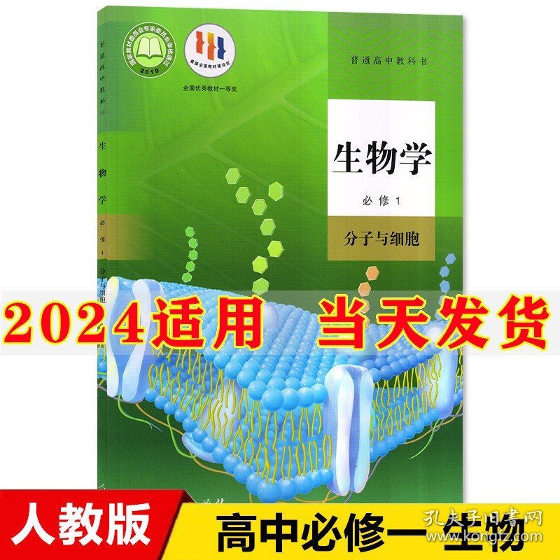 最新人教版引领教育新潮流，迈向未来的教育创新之路
