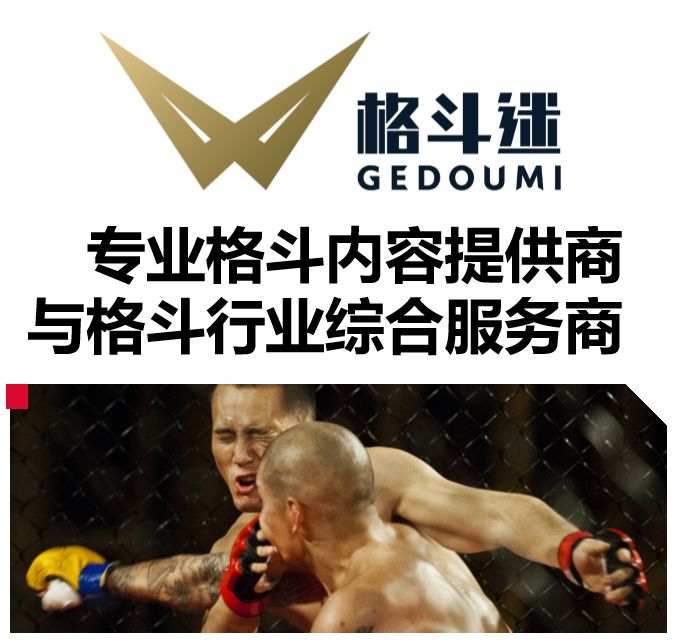 赛尔号最新动态,创新与守旧的交织论述